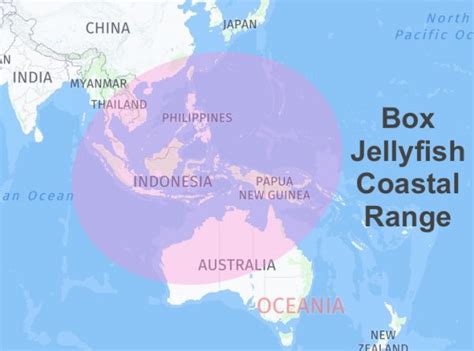 box jellyfish world distribution|box jellyfish habitat map.